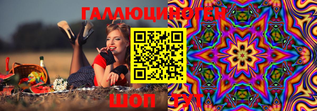Псилоцибиновые грибы Psilocybine cubensis Ярцево