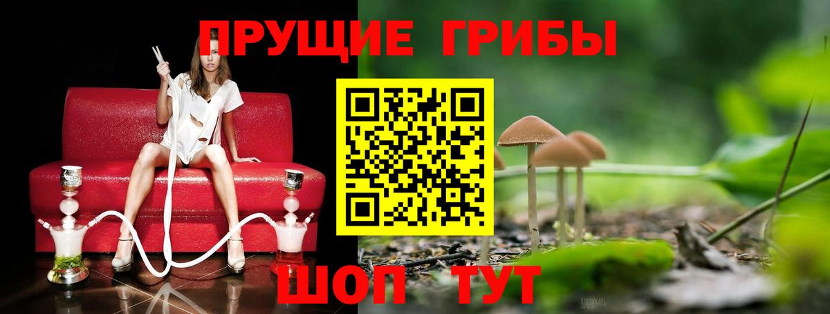 Ярцево  Галлюциногенные грибы мухоморы  Вход с VPN 